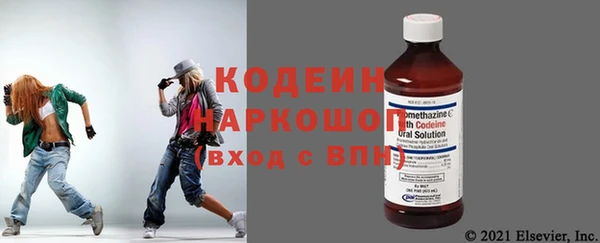 гидра Няндома