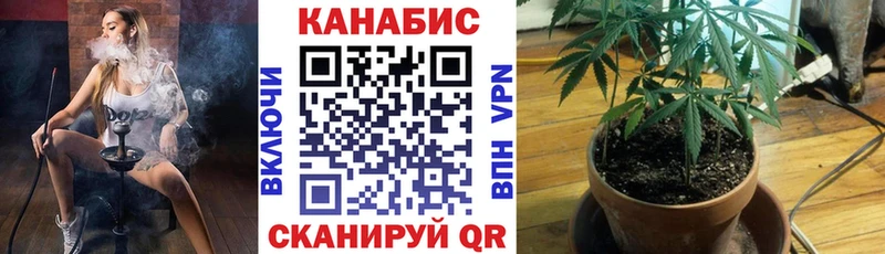 Каннабис гибрид  где купить   ссылка на мегу рабочий сайт  Качканар 